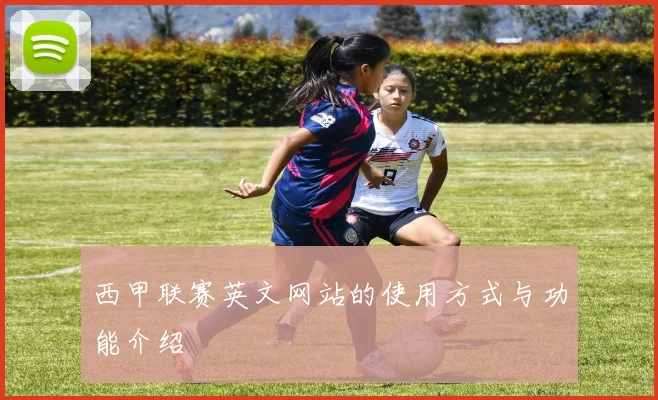 西甲联赛英文网站的使用方式与功能介绍
