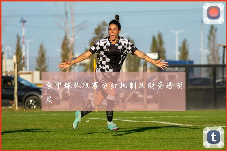 意甲球队联赛分红机制及财务透明度