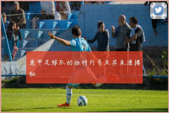 意甲足球队的独特外号及其来源揭秘
