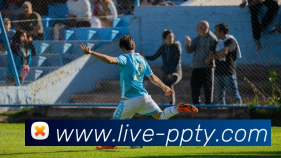 多媒体互动体验